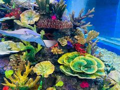 -成都浩海立方海洋公园