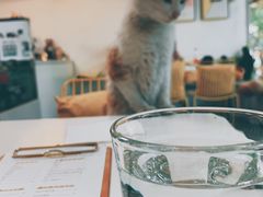 -五进制 Coffee Shop