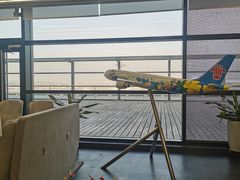 -上海浦东国际机场-T2航站楼