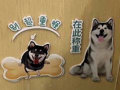 -瑞派天使宠物医院·神经外科·骨科·核磁(洛川中路店)
