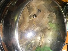-三个渔夫·蒸汽海鲜(小白楼店)