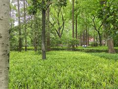 -徐家汇源景区-衡山公园