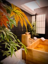 -缦spa