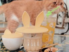 -平行世界·猫咖(首经贸店)