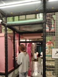 点击看大图 -meland club亲子乐园(北京芳圆里ID MALL店)