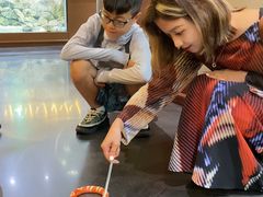 -帕帕拉兹宠物(亚洲旗舰店)