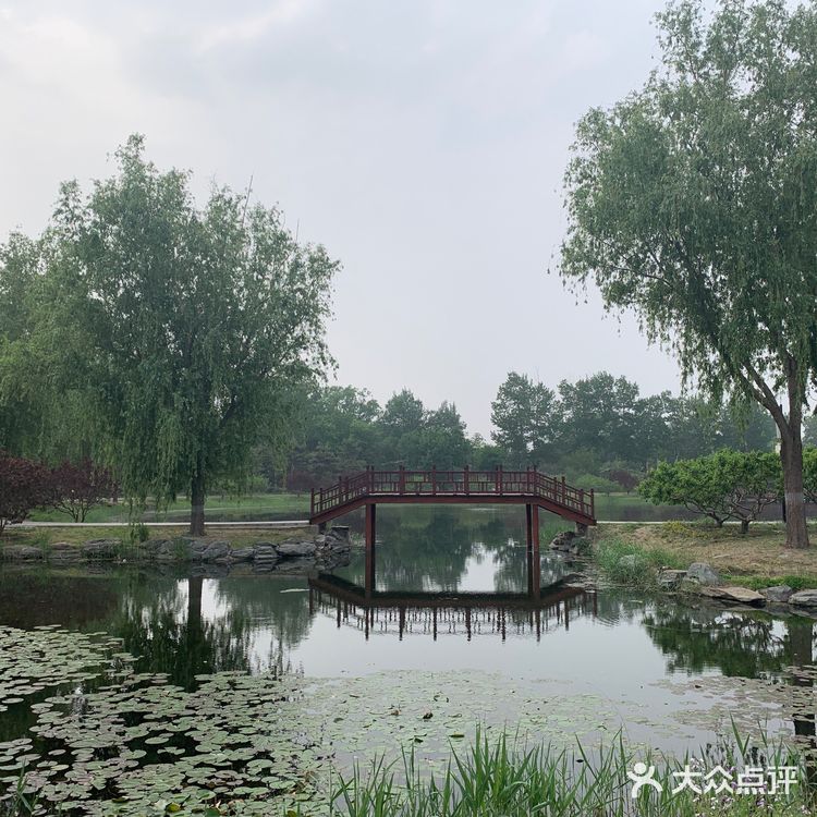 圆明圆-最美的后花园🥀🥀🥀