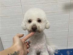 -芭比堂动物医院广州顽皮分院