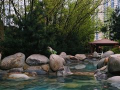 -地中海传奇水汇