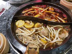 -蜀大侠火锅(森兰花园城店)