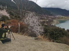 -佛掌沙丘