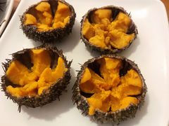 马粪海胆-海胆小馆(东北水饺·春柳店)