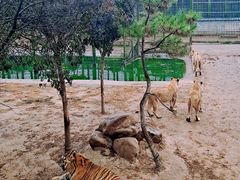 -中华郡文化旅游景区