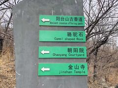 -阳台山自然风景区