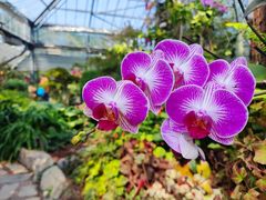 -中国科学院华南植物园