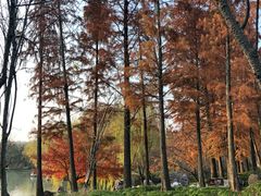 -扬州万怡酒店-中餐厅(文昌中路店)