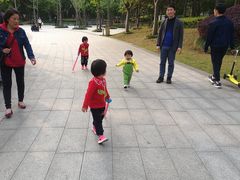 -南翔镇银翔湖公园