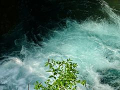 -CGWANG王氏教育(上海校区)