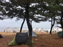 -威海国际海水浴场旅游区