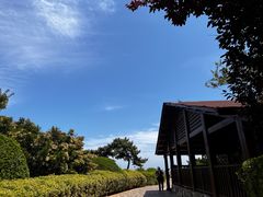 -青岛金沙滩