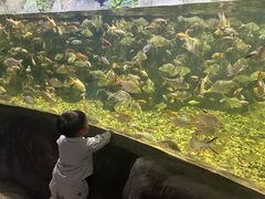 -左海海底世界