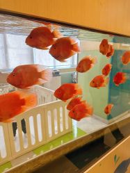 -杭州贝瑞斯美华妇儿医院·早孕·产检·儿科