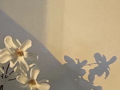 -水秀坊·足道 SPA 按摩(巨鹿路店)