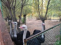 -鄂尔多斯野生动物园