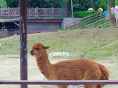 -盈香心动乐园