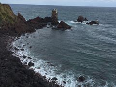 -涉地可支