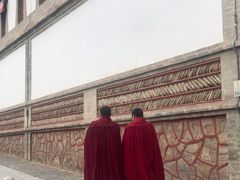 -塔尔寺-菩提树