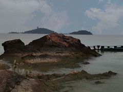 -上海市保健医疗中心