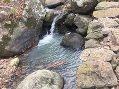 -桑洲油菜花景区