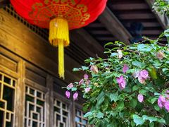 -乌山风景区