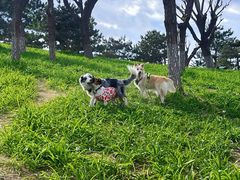 -小意思咖啡店(草桥店)