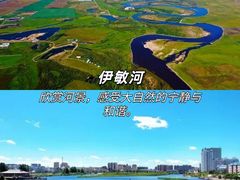 -呼伦贝尔大草原
