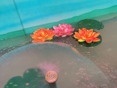 -老实人超市(富平店)