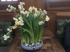 -小吊梨汤·北京菜(香山店)