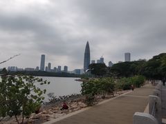 -深圳湾公园(南山区)