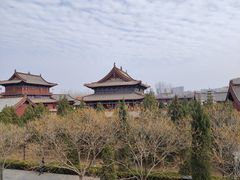 -大槐树寻根祭祖园