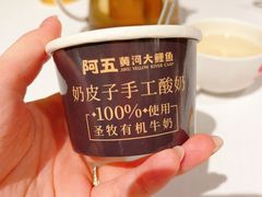 -阿五黄河大鲤鱼(海尚店)