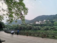 -广州凤凰城酒店-维也纳西餐厅