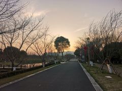 -长田漾湿地公园