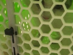 -瑞派雷欧宠物医院·中兽医·眼科·急重症转诊中心(黄台店)