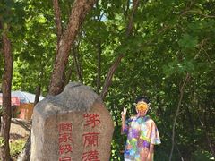 -茅兰沟国家森林公园