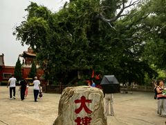 -大槐树寻根祭祖园