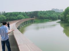 -昆山城市生态森林公园