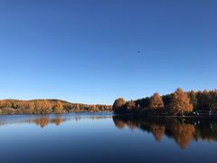 -塞罕坝国家级自然保护区