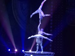 -珠海横琴长隆《卡卡虎奇遇记》