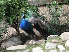 -燕塞湖鸟语林景区